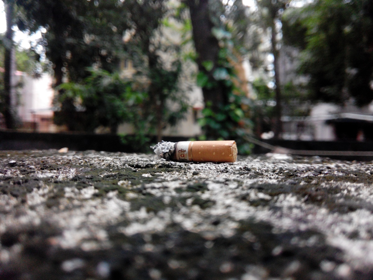 A talajba kerülő cigarettacsikkek gátolhatják a növények fejlődését A talajba kerülő cigarettacsikkek gátolhatják a növények fejlődését