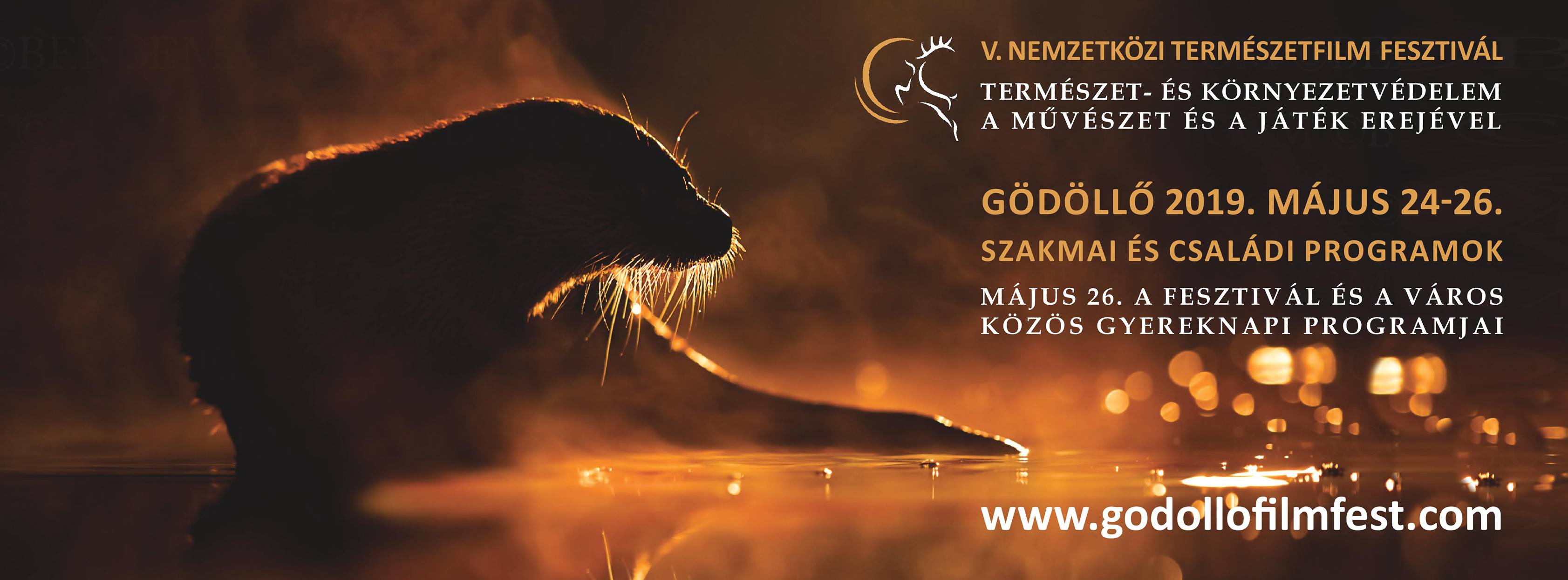 90E3C3F8 784C 4289 A6CE 7BC0FE527733