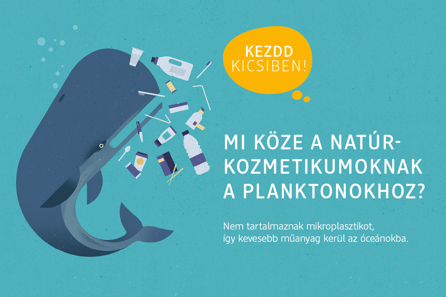 A202.19 LOHAS dm Banner 1500x1000px balna