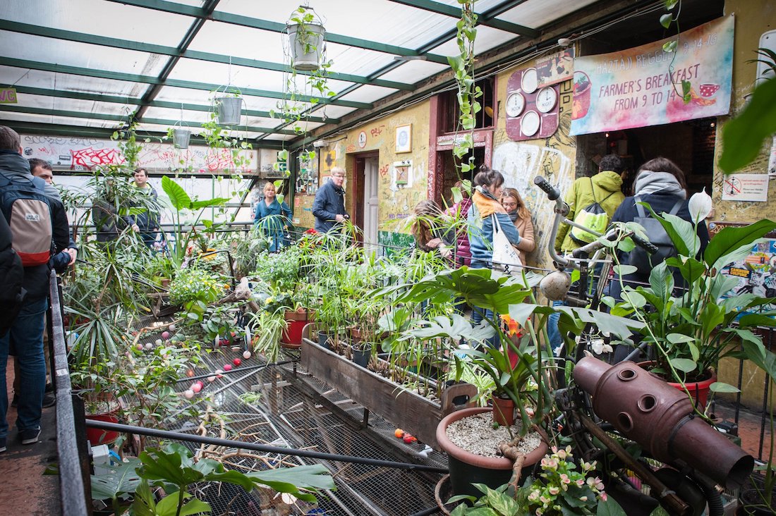 szimPLANT – az első belvárosi dzsungelmóka szimPLANT – az első belvárosi dzsungelmóka